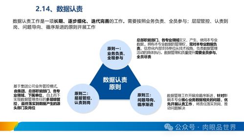 XX集團(tuán)數(shù)據(jù)治理體系建設(shè)方案——數(shù)據(jù)處理服務(wù)篇