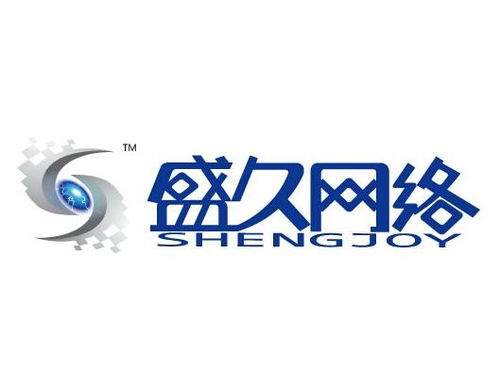 上海盛久網絡科技發展 深耕技術，領航未來